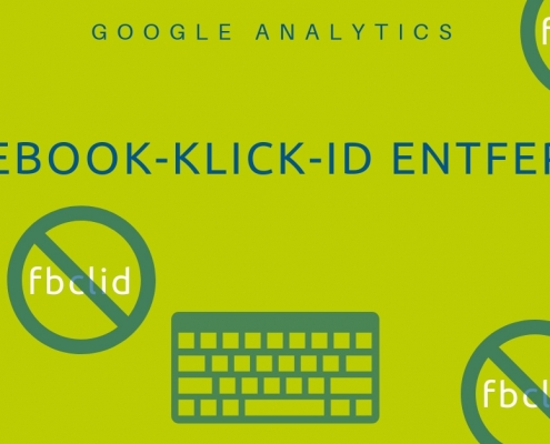 Facebook und die Klick-Id | Analytics-Blog von Michael Janssen